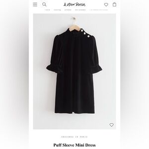 & Other Stories Velvet Puff Sleeve Mini Dress (Sz 4)